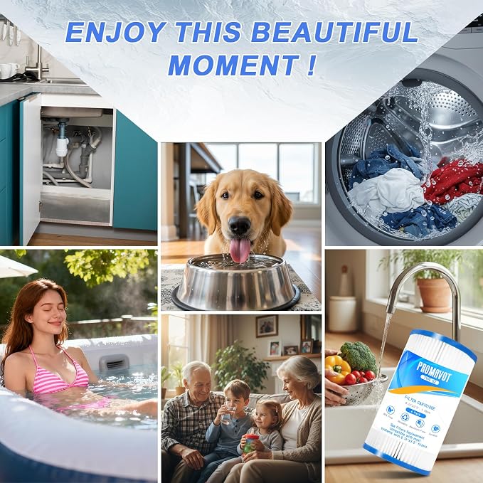 Spa & Wellness Dr Roy Sothers - 29012E PureSpa Typ S2 Whirlpool-Filterkartusche Ersatz
