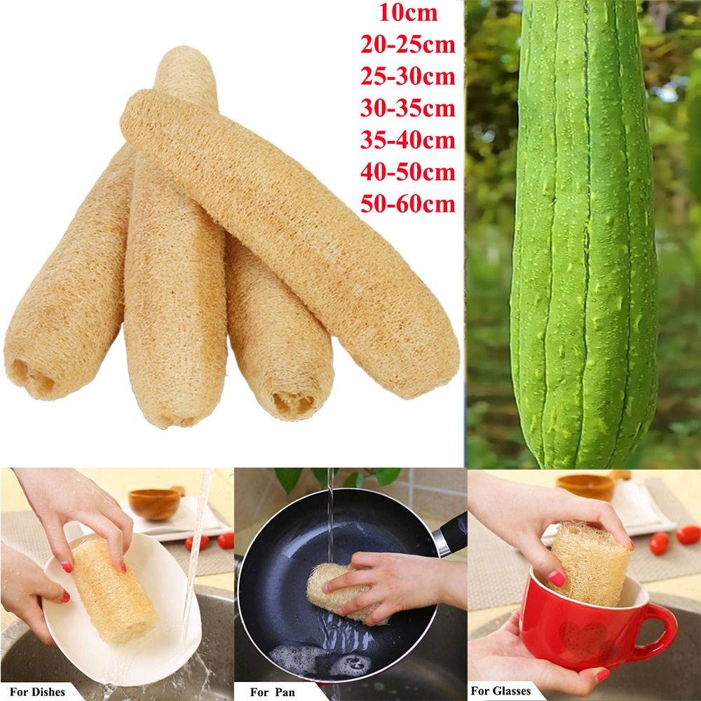 Natürlicher Luffa Luffa Schwam – Body Loofah Natural Bewertung und Preis